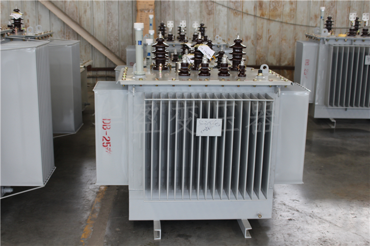 惠州S20-800kVA/10kV/0.4kV变压器